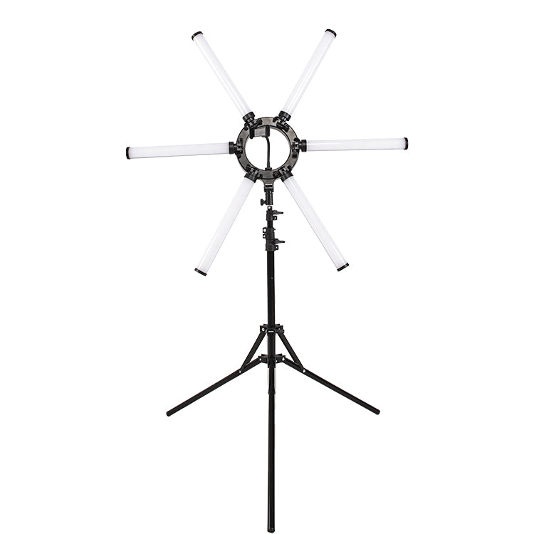 SIX ARMS Light