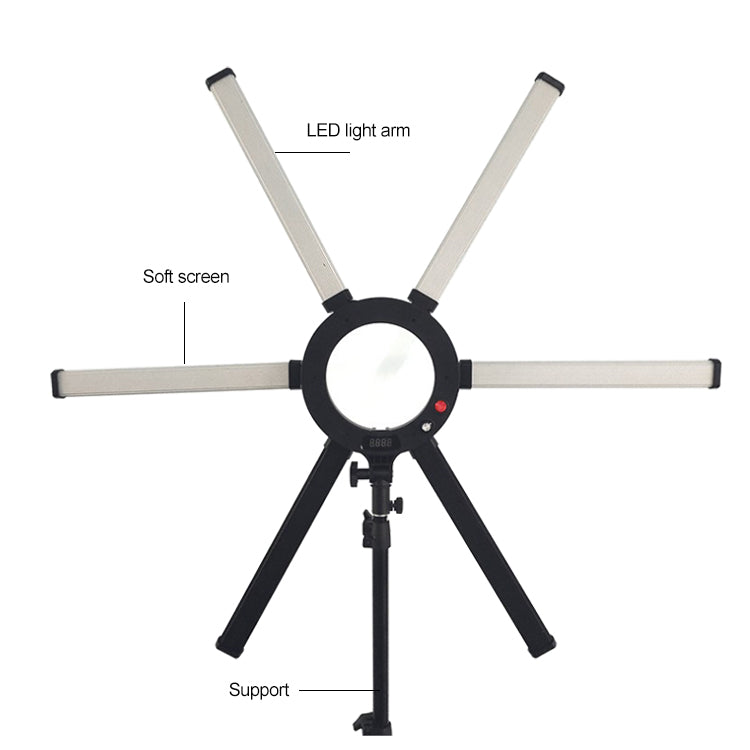 SIX ARMS Light