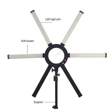 SIX ARMS Light