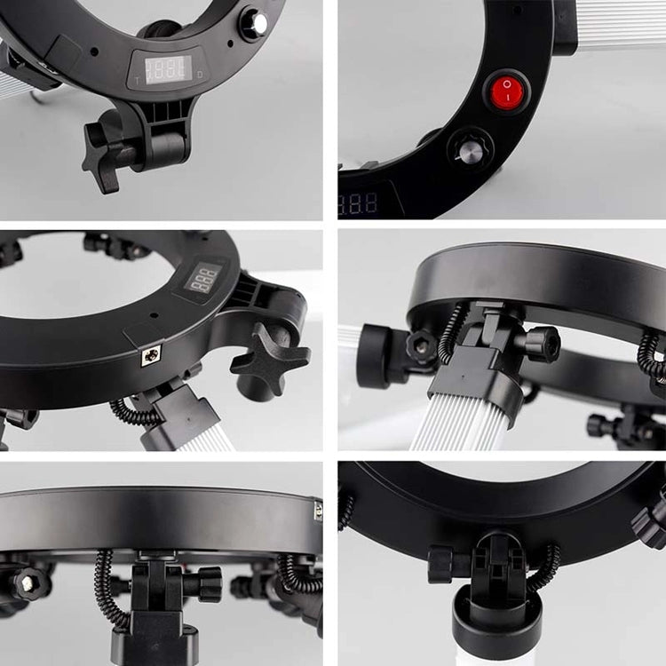 SIX ARMS Light